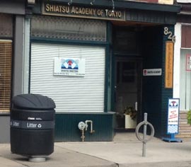 Shiatsu Masters clinic